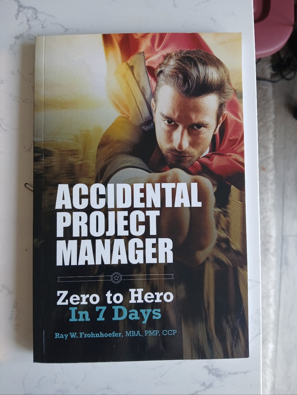 🤩2/$30 Accidental Project Manager:Zero to Hero in 7 Days by Ray W Frohnhoefer